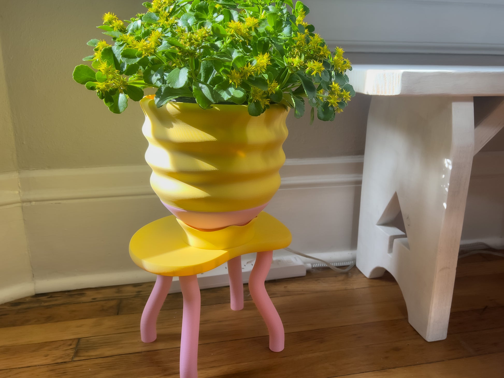 plant pots with drainage tray Saddle Up Gift Set