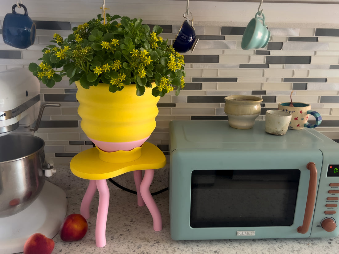 Saddle Up Gift Set - Plant Stand + Planter + Drainage Tray