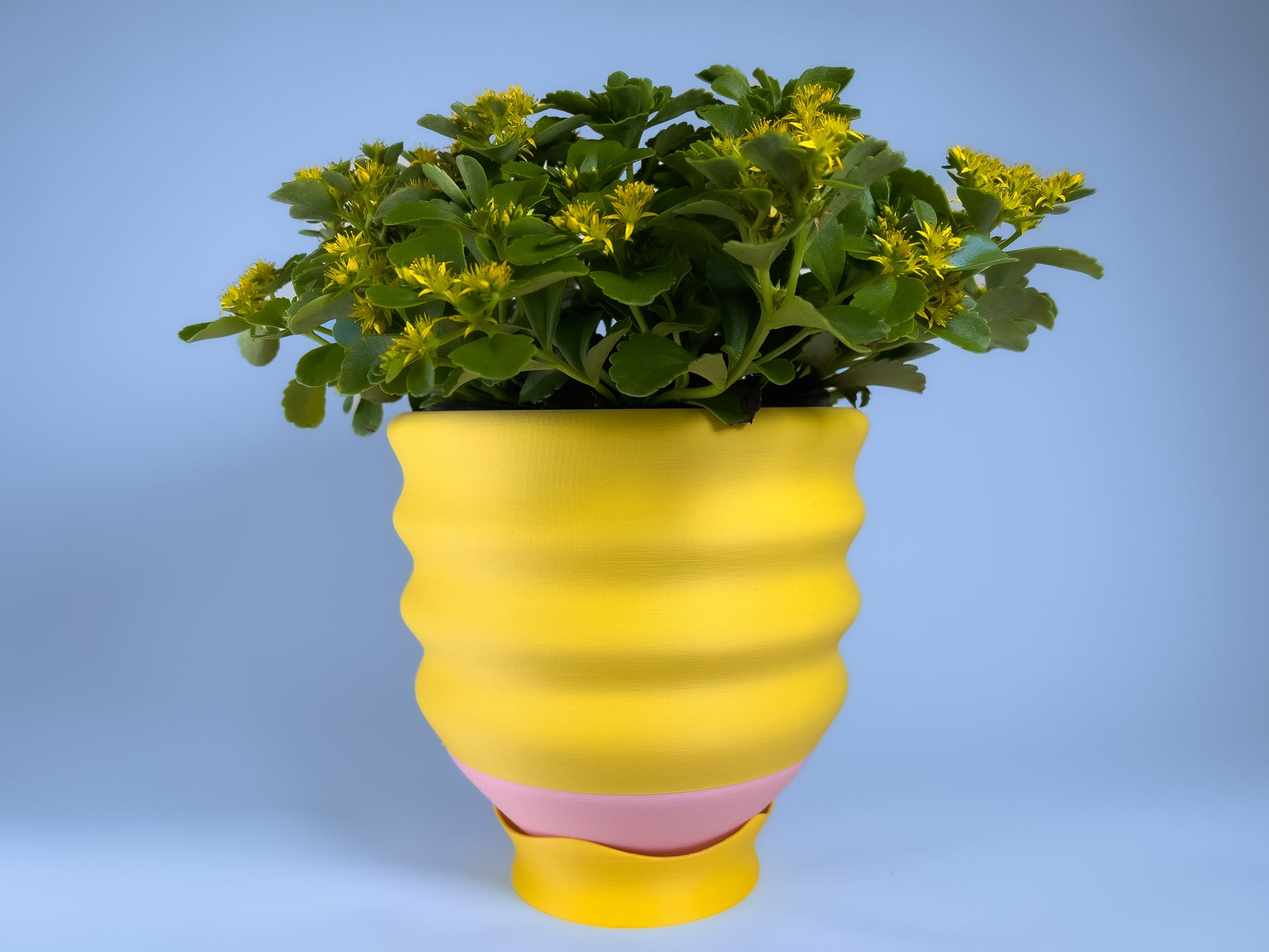 yellow plant pot on stand Saddle Up Gift Set