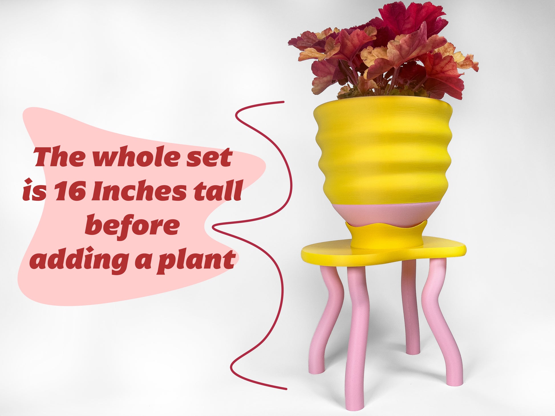 indoor plant stand with drainage Saddle Up Gift Set