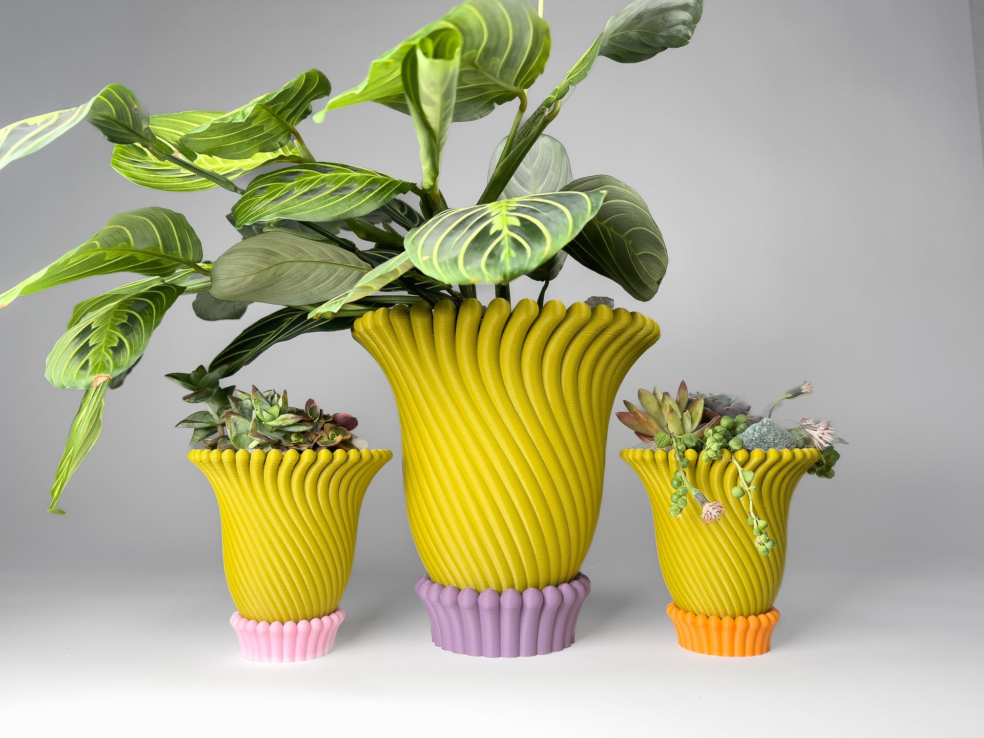 5 & 6 Inch Anemone Planters