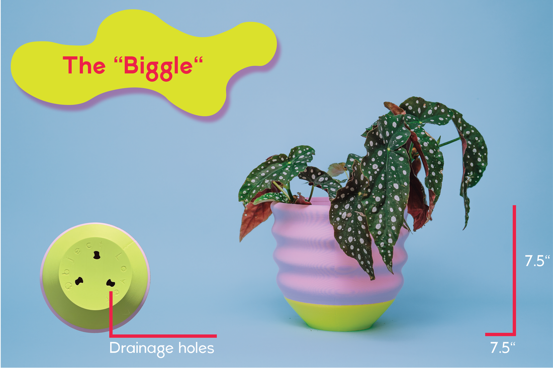 The Biggle Planter for 7" Plants